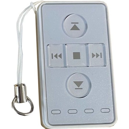 Ellard Genuine Remote Control Handset for Group Control Unit AC129-04