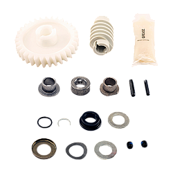 Liftmaster Genuine Drive Gear and Worm Kit - 041A2817-6P 