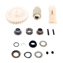 Chamberlain Genuine Drive Gear and Worm Kit - 041A2817-6P 