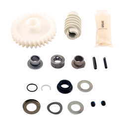 Chamberlain Genuine Drive Gear and Worm Kit - 041A2817-6P 