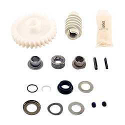 Liftmaster Genuine Drive Gear and Worm Kit - 041A2817-6P 